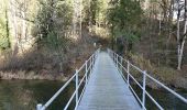 Tocht Te voet Clos du Doubs - Passerelle de La Charbonniere - Soubey - Photo 2