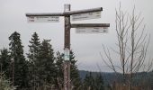 Percorso A piedi Kirchhundem - Krenkeltal und Goldener Zapfen - Photo 3