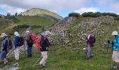 Tocht Stappen Sarrancolin - nistos Nestea fait G4 - Photo 3