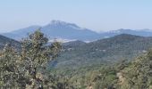 Tour Wandern Hyères - les Borel les 2 - Photo 1