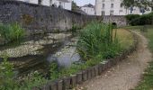 Tour Wandern Beaugency - L'âne et le chat - Balade Beaugency - Photo 8