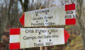 Tour Zu Fuß Bardi - Percorso 803 - Lavacchielli - Cerreto - Bre' - Pieve di Gravago - Brugnola - Monte Disperata - Photo 1