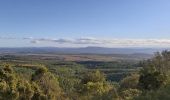 Excursión Senderismo Caunes-Minervois - LaMatte  7 novembre 2023 - Photo 6