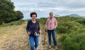 Randonnée Marche Lavigerie - Col de serre - enlacement - Photo 8