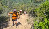 Trail Walking Bormes-les-Mimosas - Bormes les Mimosas les 3 cols fait - Photo 6