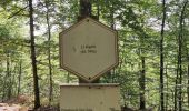 Tour Wandern La Roche-en-Ardenne - promenade 4 et 5 pour le groupe du jeudi - Photo 12