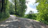 Tour Wandern Verviers - Verviers gare Barrage d l Gileppe Eupen 25 km - Photo 14