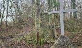 Trail Walking Ham-sur-Heure-Nalinnes - GR 129 Noirchien - N-D Loverval  - Photo 2