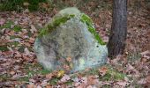 Trail On foot Hilpoltstein - Eibachgrund - Photo 10