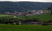 Trail On foot Dietfurt an der Altmühl - Moosbärnweg - Photo 6