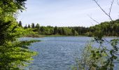 Tour Zu Fuß Gmunden - Wanderweg 22 - Photo 5