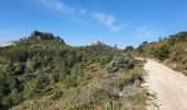 Trail Walking Mimet - la chaîne de l'étoile au départ du col Sainte-Anne - Photo 13