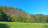 Tour Wandern Comblain-au-Pont - Comblain-au-Pont d´une rive à l´autre - Photo 13