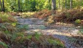 Tocht Stappen Fontainebleau - suite cam ch 1 - Photo 3