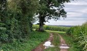 Trail Walking Beauraing - Voneche 011021 - Photo 2