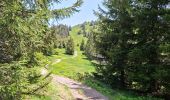 Tour Wandern Crêts-en-Belledonne - LE GRAND ROCHER PAR LE REFUGE DU CRET DU POULET - Photo 20
