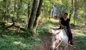 Trail Horseback riding Francheville - Chez pat à l’étang toul Tivio  - Photo 3