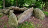 Tocht Te voet Belm - Krebsburger Wald, Rundweg Nr 3 - Photo 2