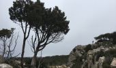 Trail Walking Bize-Minervois - Montredon / Combebelle-le-haut - Photo 4