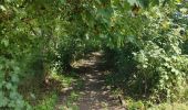 Tocht Stappen Jemeppe-sur-Sambre - Bois des masures, longée de la Petite-Sambre - Photo 8