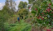 Tour Zu Fuß Genappe - SityTrail - randonnée  à bousval - Photo 3