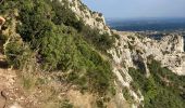 Tour Wandern Saint-Rémy-de-Provence - Gaussier, Peiroou et les 2 trous - Photo 5