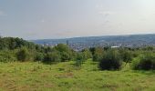 Tour Wandern Lüttich - St Lambert et la Liège Verte - Photo 12