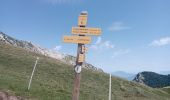 Trail Walking Saint-Pierre-de-Chartreuse - grand sure - Photo 12