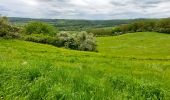 Tour Wandern Anhée - Warnant Adèle et Christophe 05-05-2024 - Photo 11