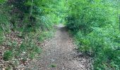 Trail Walking Monschau - Tour de Monschau 20Km - Photo 8