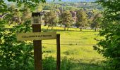 Trail Walking Collonges-la-Rouge - colonge - Photo 4