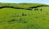 Randonnée Marche Omblèze - Refuge d' Ambel - Photo 4