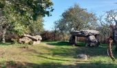 Trail Walking Saint-Philibert - PR_56_St-Philibert_BA_02_Circuit1b_Dolmens-Et-Menhir_20221020 - Photo 2