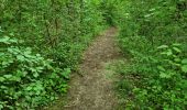 Trail Walking Cheptainville - Forêt Régionale de Cheptainville  - Photo 12