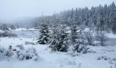 Tocht Sneeuwschoenen Cornimont - Raquettes Chalet des Charmes - Photo 6