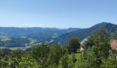 Percorso Marcia Dobrova-Polhov Gradec - A la découverte du parc Polhograjski Dolomiti 🥾 - Photo 17