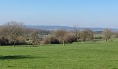 Trail Walking Durbuy - Heyd avec le chemin des crêtes  - Photo 5