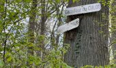 Excursión Senderismo Ormoy-le-Davien - Boucle départ Ormoy le Davien 60620 - Foret de Retz - Photo 4