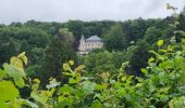 Trail Walking Vielsalm - Vielsalm 270625 - Photo 20