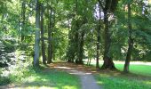 Randonnée A pied Villers-Cotterêts - le GR11A  dans la Forêt de Retz  - Photo 15