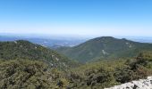 Randonnée Marche Céret - pic des salines depuis fontfrede via coll del pou de la neu . pic des salines .coll des cirerers  . fontfrede - Photo 13