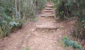 Trail Walking Roquebrune-sur-Argens - Les Issambres : Draille des roches - Dolmen - Photo 2