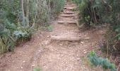 Excursión Senderismo Roquebrune-sur-Argens - Les Issambres : Draille des roches - Dolmen - Photo 2