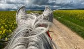 Trail Horseback riding Favières - Favieres mai 2024 yoigo kaline  - Photo 5