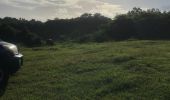 Trail Nordic walking Sainte-Anne - Modette   - Photo 2