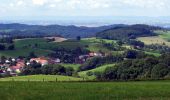 Randonnée A pied Abtsteinach - Rundwanderweg Steinachquelle 5: Götzenklingen-Weg - Photo 6