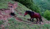 Randonnée A pied Vișeu de Sus - RO-Viseu - Poienile de sub munte - Photo 2