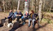 Tour Wandern Urbach bei Kaysersberg - CVL - Rando 25/03/2024 - Col de Chamont - Photo 8