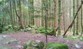 Trail Walking Rimbach-près-Masevaux - Haute Bers - Photo 5