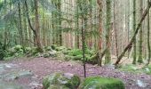 Tour Wandern Rimbach bei Masmünster - Haute Bers - Photo 5